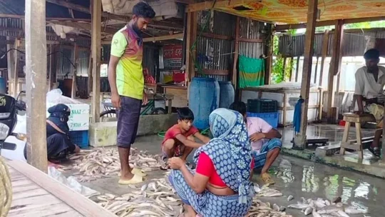 সাগরে নিষেধাজ্ঞা উপেক্ষা করে চলছে মাছ শিকার