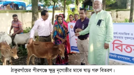 পীরগঞ্জে ক্ষুদ্র নৃগোষ্ঠীর মাঝে ষাড় গরু বিতরণ