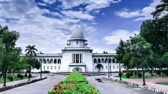 লাশবাহী গাড়িতে খাদ্যপণ্য বিক্রি: প্রাণিসম্পদ সচিব ও ডিজিসহ ১০ জনের বিরুদ্ধে উচ্চ আদালতে রিট
