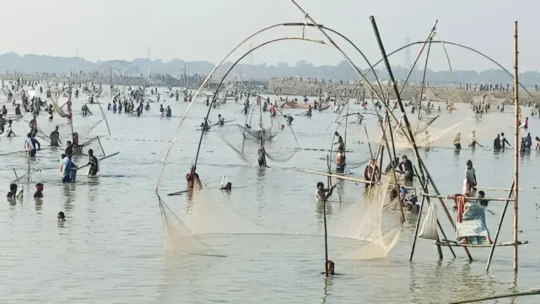 ‘বোখা’ বিলে দেখা মিলে মাছ ধরার এমন উৎসব