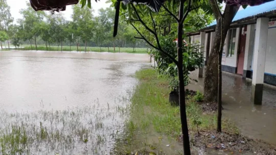 টানা বৃষ্টিতে পানির নিচে নোয়াখালী, দুর্ভোগে লক্ষাধিক মানুষ