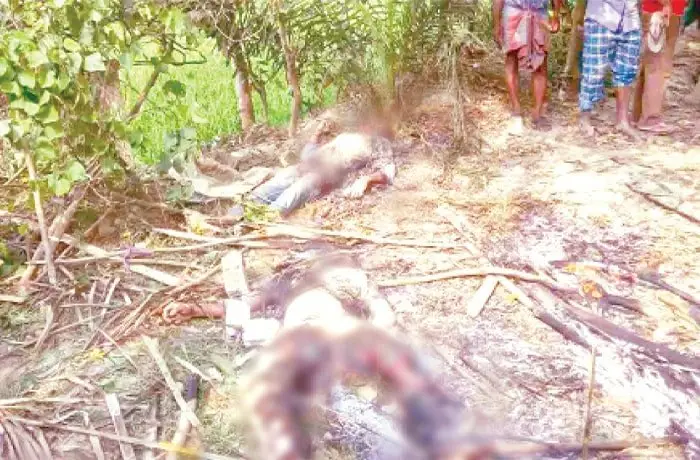 বিশেষ ক্রোড়পত্র; গুজবের পরিণাম