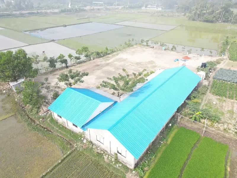 শিক্ষাব্যবস্থার ত্রুটিই জাতি ধ্বংস করছে