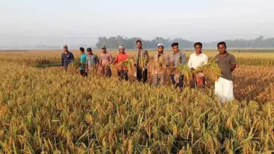 বাস্তব সঙ্কটের বাস্তব সমাধান করে দেখাল হেযবুত তওহীদ