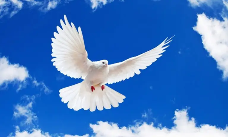 সংকটে মানুষ: পরিত্রাণের পথ কী?